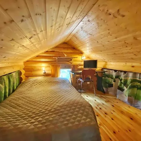 Domek alpejski Uniikki Lomamoekki Maentymetsaessae Jaerven Edustalla Pihtikoski