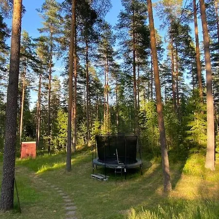 Domek alpejski Uniikki Lomamoekki Maentymetsaessae Jaerven Edustalla Pihtikoski