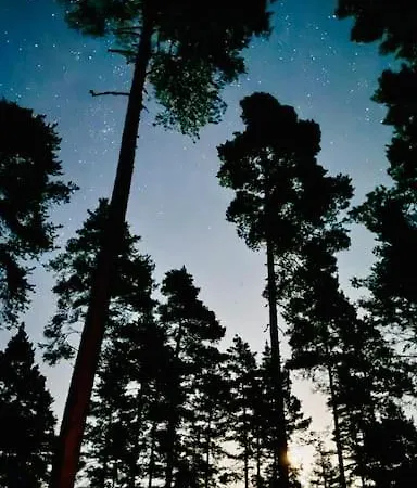 Uniikki Lomamoekki Maentymetsaessae Jaerven Edustalla Domek alpejski *