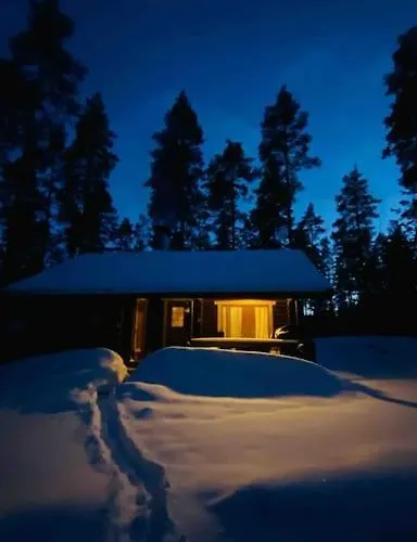 Uniikki Lomamoekki Maentymetsaessae Jaerven Edustalla 木屋 Pihtikoski