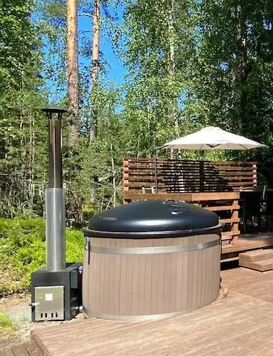 Uniikki Lomamoekki Maentymetsaessae Jaerven Edustalla Pihtikoski