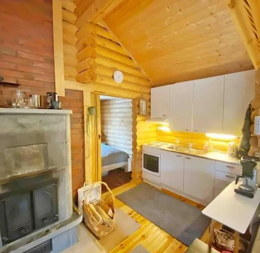 Uniikki Lomamoekki Maentymetsaessae Jaerven Edustalla *